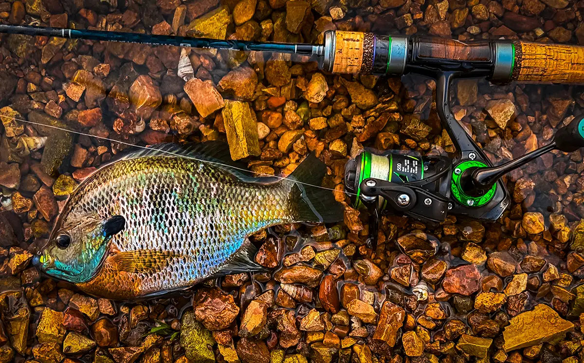 Quick Tips to Catch Fish Easily 🎣