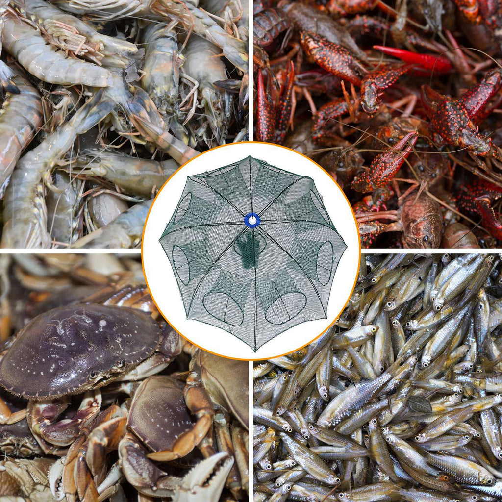 Foldable Fishing Bait Net Trap Crab Net Shrimp Minnow Crawdad Fish Cast Dip Cage Mesh Automatic Contraction
