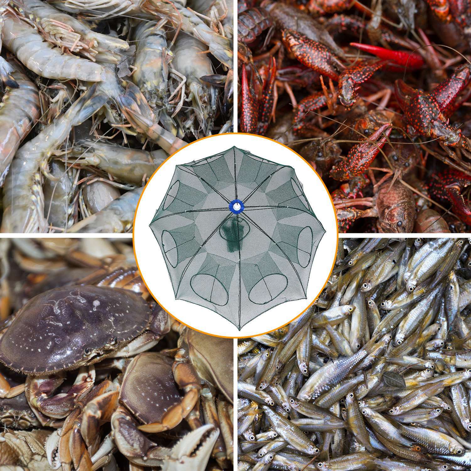 Foldable Fishing Bait Net Trap Crab Net Shrimp Minnow Crawdad Fish Cast Dip Cage Mesh Automatic Contraction